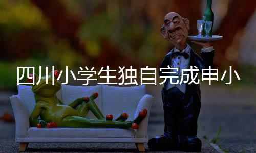 四川小學生獨自完成申小豹墻繪，展現創(chuàng)意與藝術天賦