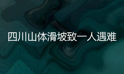 四川山體滑坡致一人遇難，二十八人失聯(lián)——緊急救援行動(dòng)進(jìn)行中
