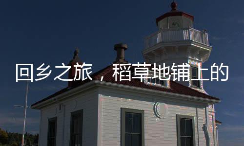 回鄉(xiāng)之旅，稻草地鋪上的溫馨夢境
