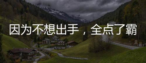 因為不想出手，全點了霸王色霸氣