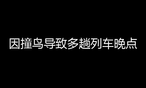 因撞鳥導(dǎo)致多趟列車晚點，鐵路部門公開致歉