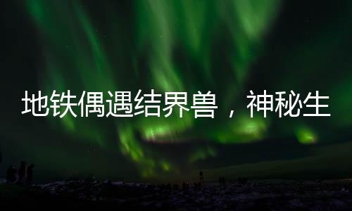 地鐵偶遇結(jié)界獸，神秘生物引發(fā)乘客熱議