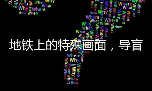 地鐵上的特殊畫面，導盲犬自律展現驚人耐心