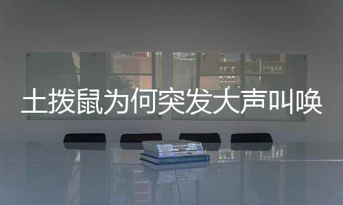 土撥鼠為何突發(fā)大聲叫喚？探索其行為背后的奧秘