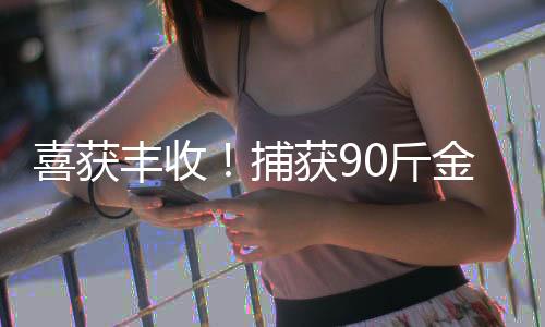 喜獲豐收！捕獲90斤金黃色鰱鳙魚(yú)
