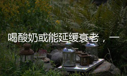 喝酸奶或能延緩衰老，一項(xiàng)健康研究的最新發(fā)現(xiàn)