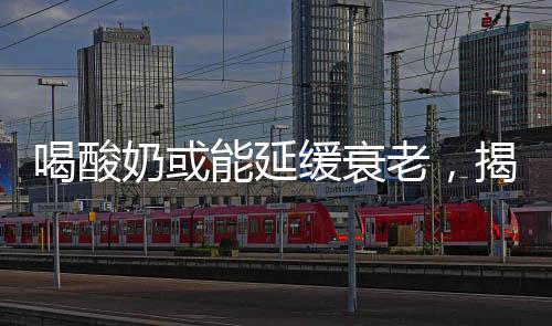 喝酸奶或能延緩衰老，揭開酸奶與健康長生的秘密