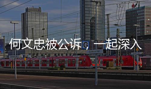 何文忠被公訴，一起深入探究的案件分析
