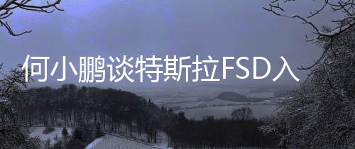 何小鵬談特斯拉FSD入華：熱烈歡迎，整個(gè)智能駕駛行業(yè)會(huì)有更多有趣交流和互相促進(jìn)