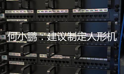 何小鵬：建議制定人形機(jī)器人銷售補(bǔ)貼政策，加快構(gòu)建飛行汽車駕照分類分級認(rèn)證體系