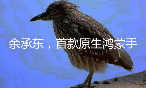 余承東，首款原生鴻蒙手機下周見