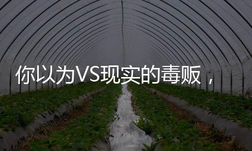 你以為VS現(xiàn)實(shí)的毒販，揭開(kāi)毒品交易的神秘面紗