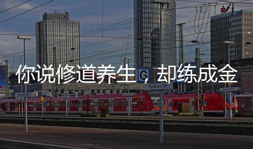 你說修道養(yǎng)生，卻練成金丹法？