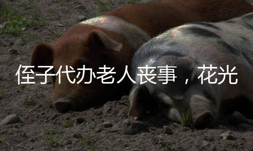 侄子代辦老人喪事，花光老人23萬(wàn)遺產(chǎn)