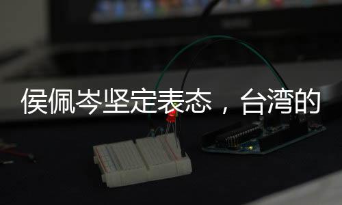 侯佩岑堅(jiān)定表態(tài)，臺(tái)灣的唯一稱(chēng)謂是中國(guó)臺(tái)灣省