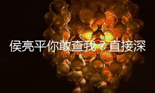 侯亮平你敢查我？直接深入鐘小艾