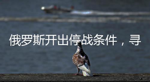 俄羅斯開出停戰(zhàn)條件，尋求和平解決沖突的契機