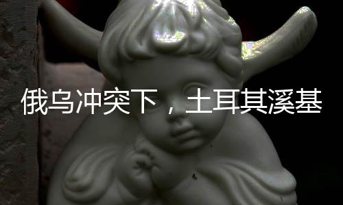俄烏沖突下，土耳其溪基礎(chǔ)設(shè)施遭烏軍攻擊引發(fā)國(guó)際關(guān)注
