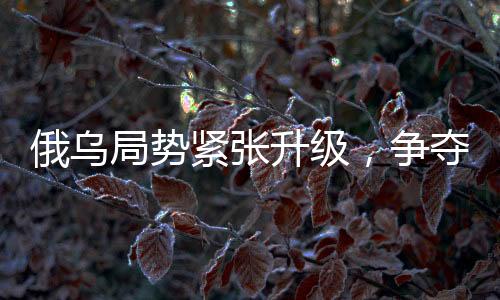 俄烏局勢緊張升級，爭奪最后戰(zhàn)果之際，北約顯現(xiàn)擔憂信號