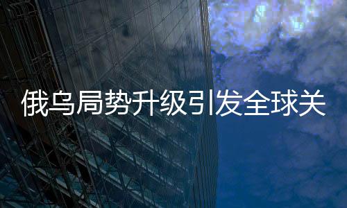 俄烏局勢升級引發(fā)全球關注，烏總統(tǒng)敦促俄方表態(tài)，戰(zhàn)爭結束還是繼續(xù)？