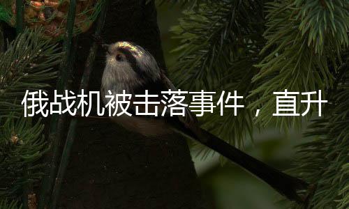 俄戰(zhàn)機(jī)被擊落事件，直升機(jī)絕地救援飛行員