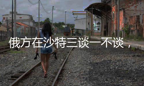 俄方在沙特三談一不談，深化合作中的多維解析