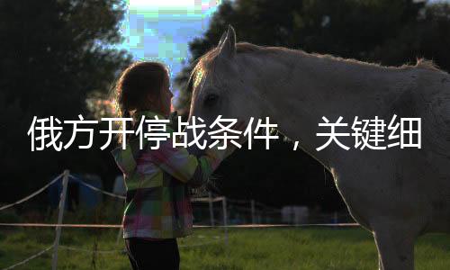 俄方開停戰(zhàn)條件，關(guān)鍵細(xì)節(jié)與未來展望
