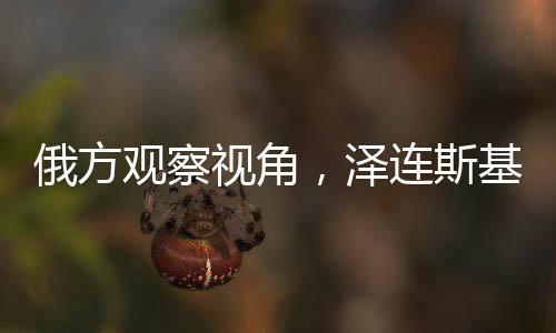俄方觀察視角，澤連斯基辦公室如同精神病房的深度解讀