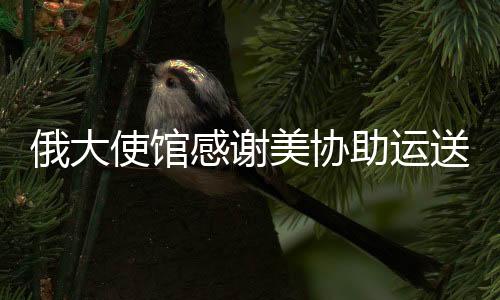 俄大使館感謝美協(xié)助運(yùn)送俄遇難者遺體展現(xiàn)國(guó)際友誼與協(xié)作精神