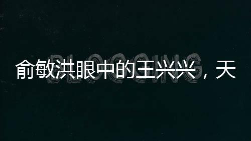 俞敏洪眼中的王興興，天才企業(yè)家的崛起