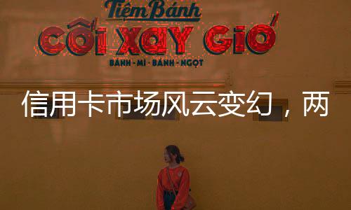 信用卡市場風云變幻，兩年內(nèi)消失八千萬張信用卡