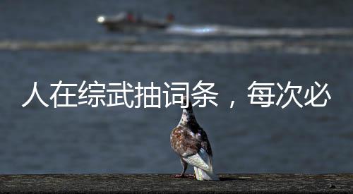人在綜武抽詞條，每次必中概念級