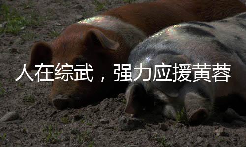 人在綜武，強(qiáng)力應(yīng)援黃蓉小龍女