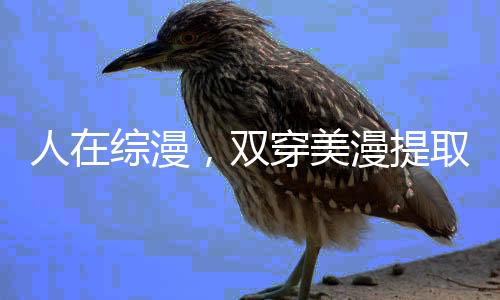 人在綜漫，雙穿美漫提取超人詞條