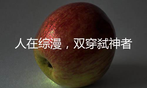 人在綜漫，雙穿弒神者