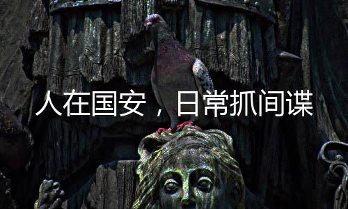 人在國安，日常抓間諜