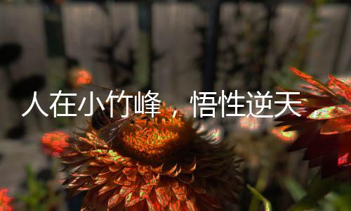 人在小竹峰，悟性逆天，以儒證道