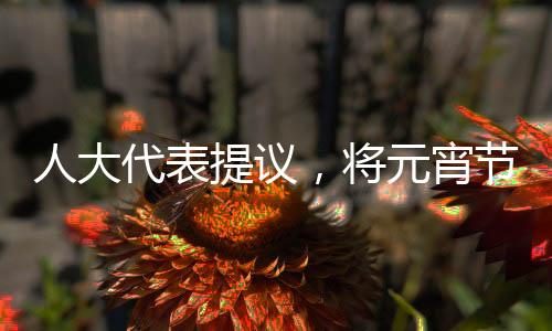 人大代表提議，將元宵節(jié)設(shè)為法定節(jié)假日