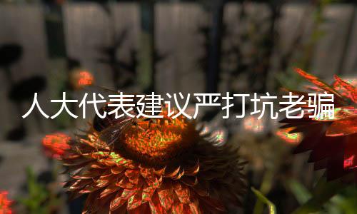 人大代表建議嚴(yán)打坑老騙局，守護老年人合法權(quán)益
