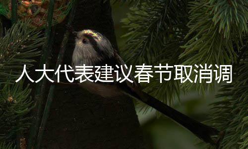 人大代表建議春節(jié)取消調(diào)休，民眾的期待與時代的思考
