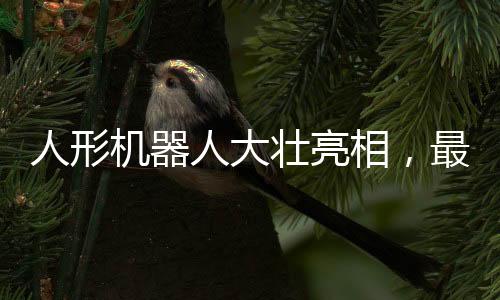 人形機器人大壯亮相，最新科技引領未來