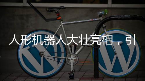 人形機器人大壯亮相，引領(lǐng)未來科技新潮流