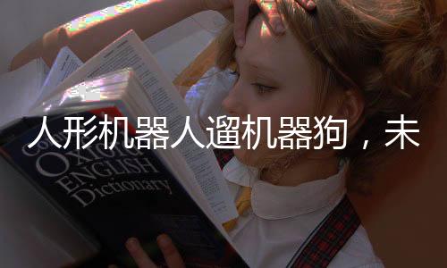 人形機(jī)器人遛機(jī)器狗，未來科技的和諧新畫面