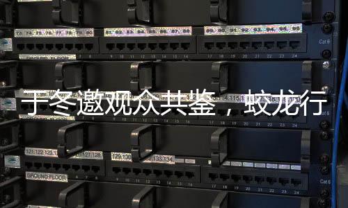 于冬邀觀眾共鑒，蛟龍行動是否值得黃金場期待？一文深度解析
