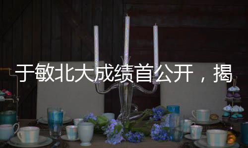 于敏北大成績(jī)首公開(kāi)，揭示學(xué)術(shù)成就與個(gè)人奮斗的標(biāo)桿