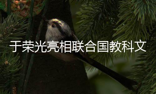 于榮光亮相聯(lián)合國教科文舞臺，跨界合作引領(lǐng)文化創(chuàng)新之旅