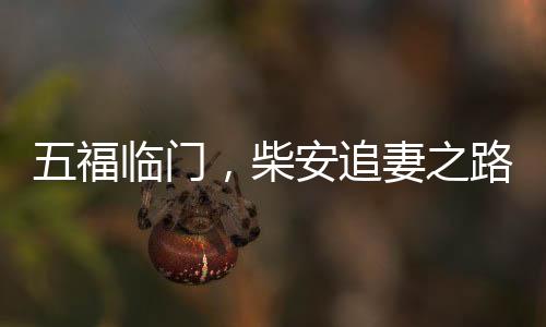 五福臨門，柴安追妻之路，用盡所有力氣