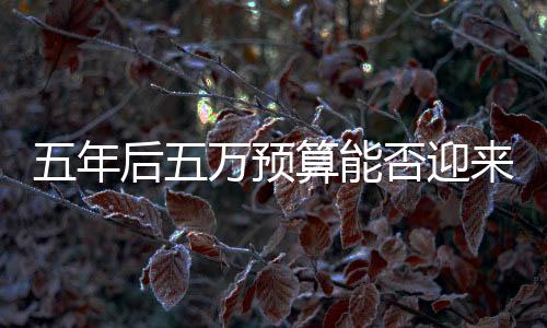 五年后五萬預(yù)算能否迎來智能家務(wù)機(jī)器人？市場與技術(shù)趨勢解讀