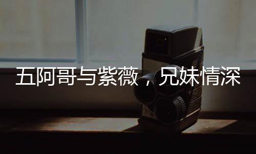 五阿哥與紫薇，兄妹情深，命運(yùn)交錯(cuò)
