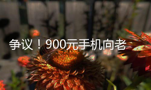 爭議！900元手機向老人售價高達2000元？手機店的回應(yīng)